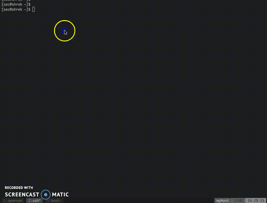 DominicBreuker/pspy-阿鬼