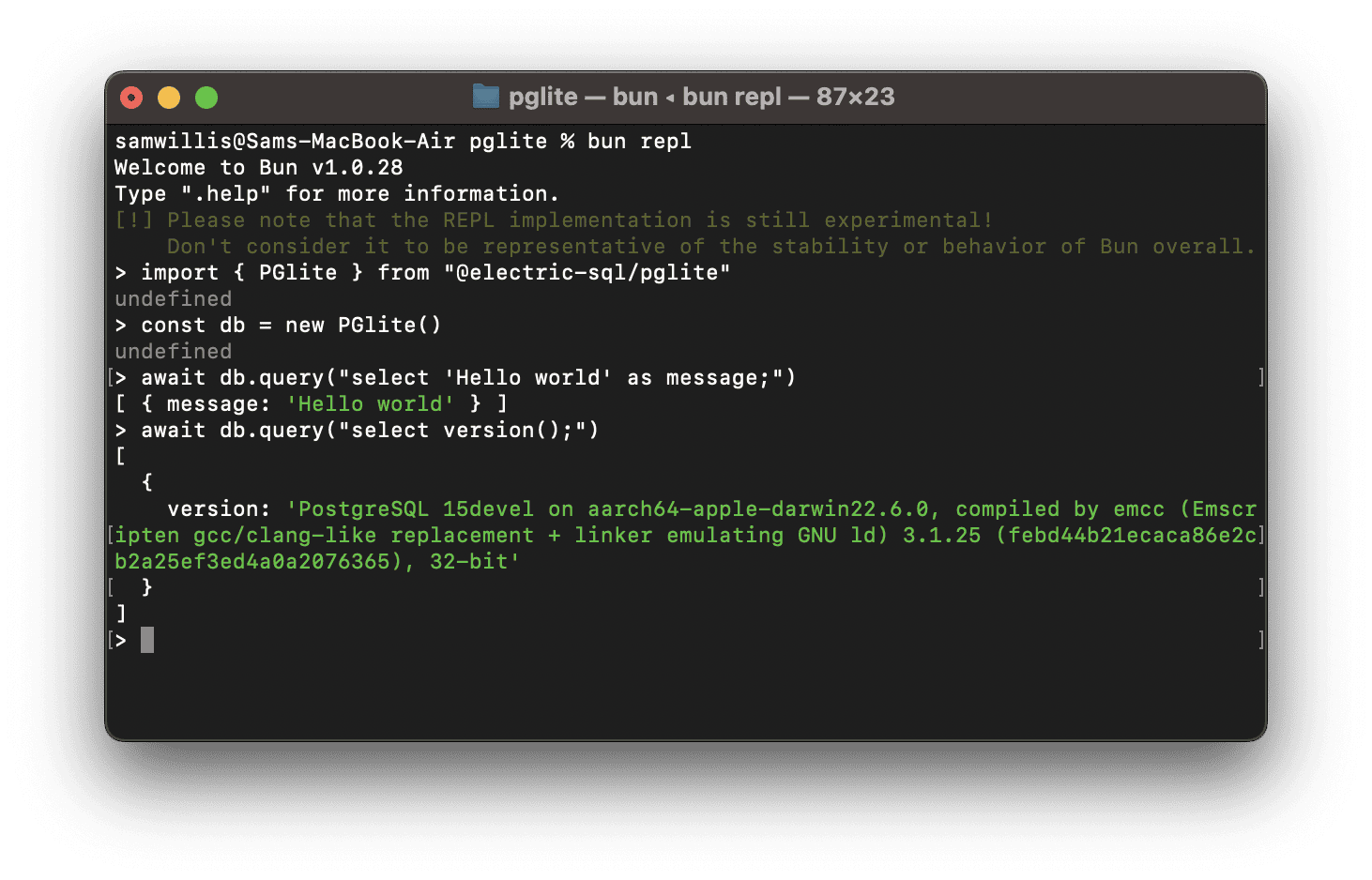 electric-sql/pglite-阿鬼