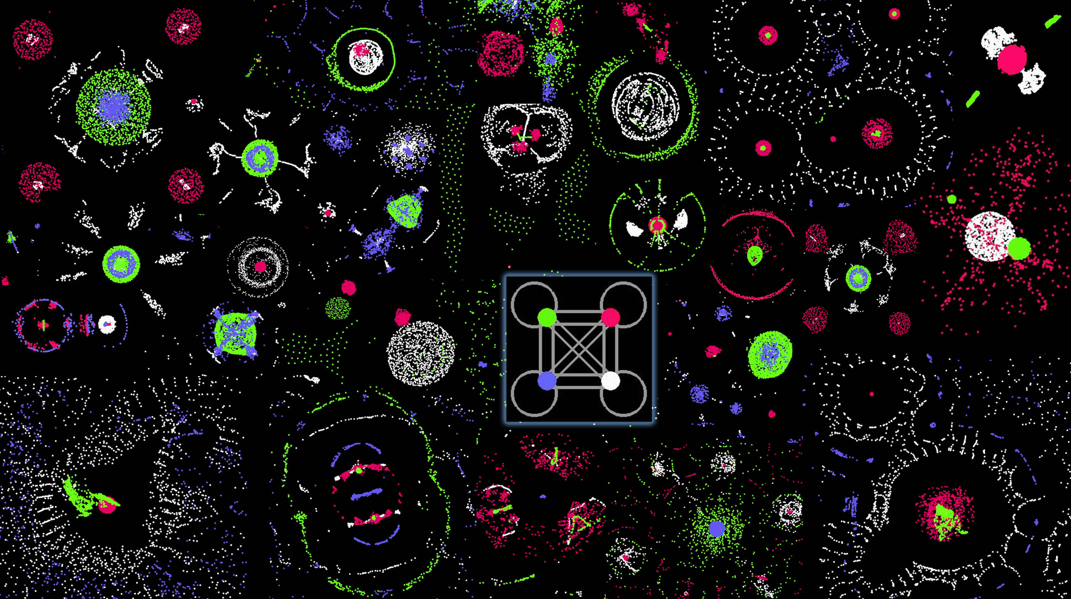 particle-life-阿鬼